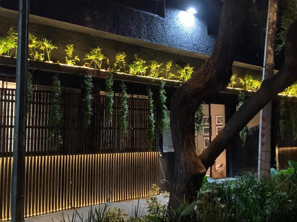 Frontera 49 Roma Norte Hostal Meksika Dış mekan fotoğraf