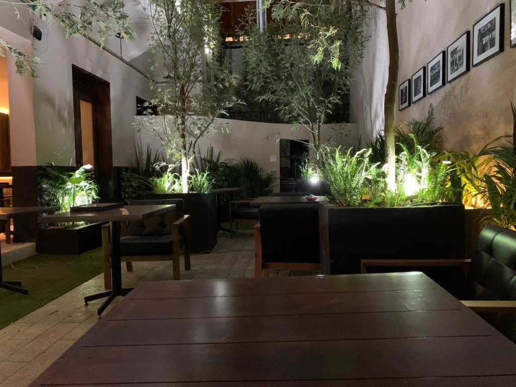 Frontera 49 Roma Norte Hostal Meksika Dış mekan fotoğraf