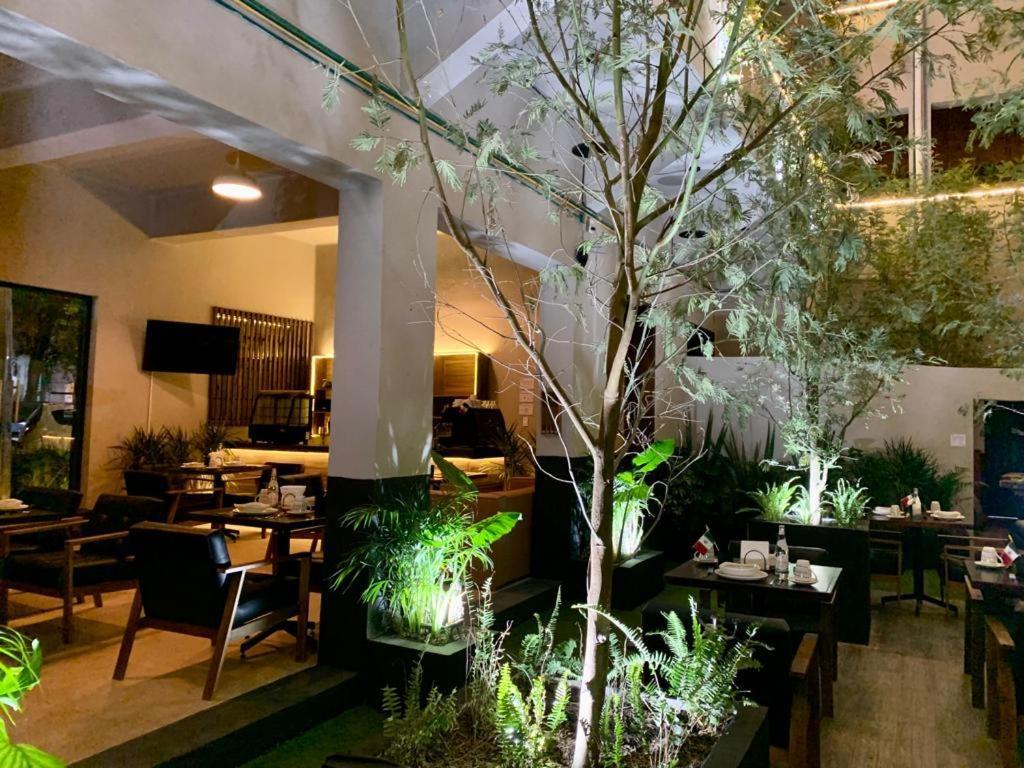 Frontera 49 Roma Norte Hostal Meksika Dış mekan fotoğraf