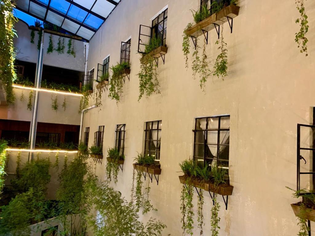 Frontera 49 Roma Norte Hostal Meksika Dış mekan fotoğraf