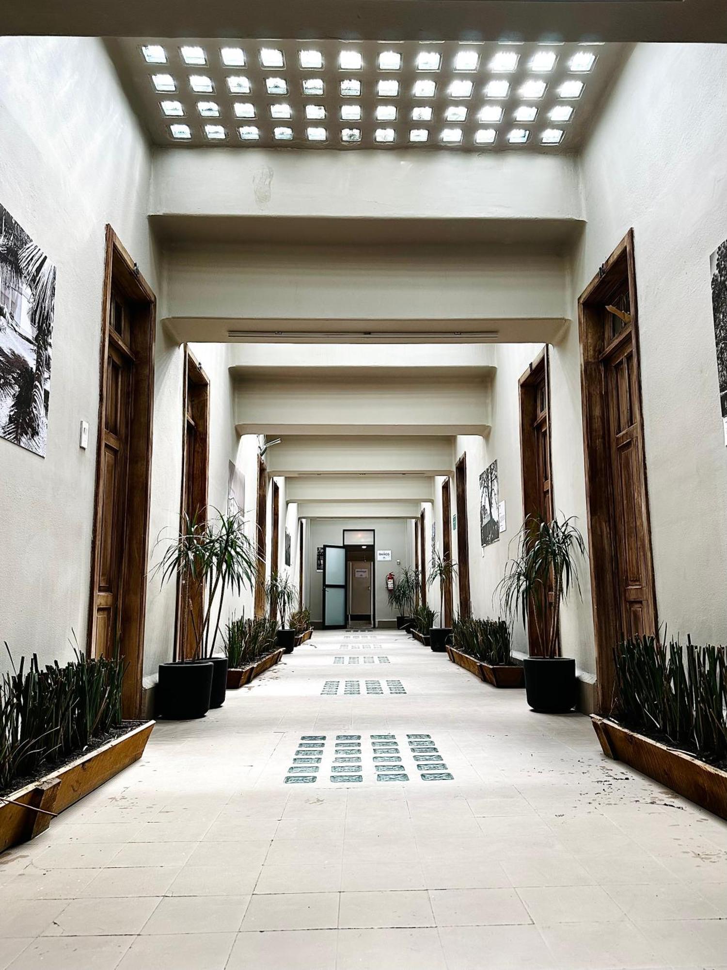 Frontera 49 Roma Norte Hostal Meksika Dış mekan fotoğraf