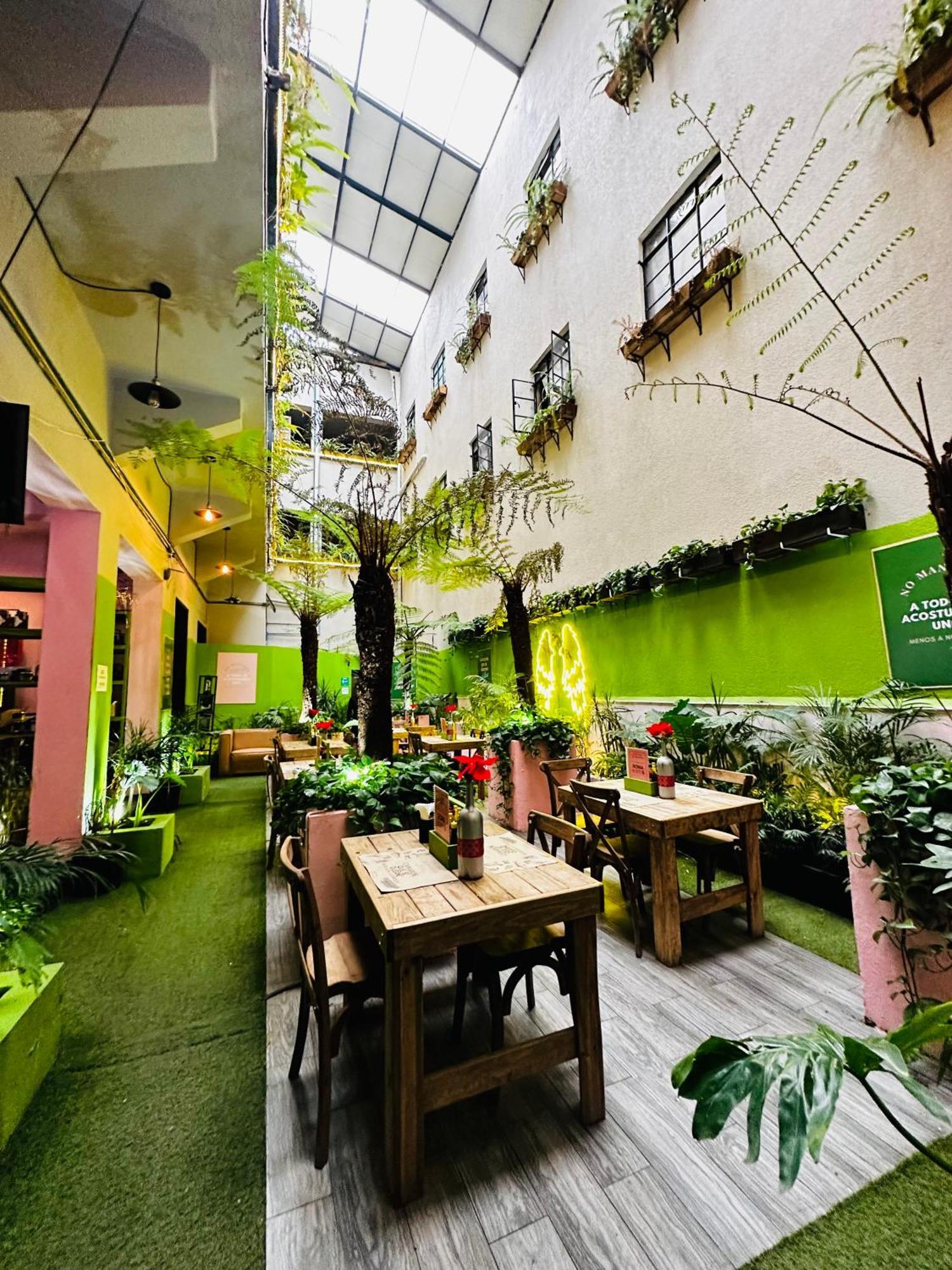 Frontera 49 Roma Norte Hostal Meksika Dış mekan fotoğraf