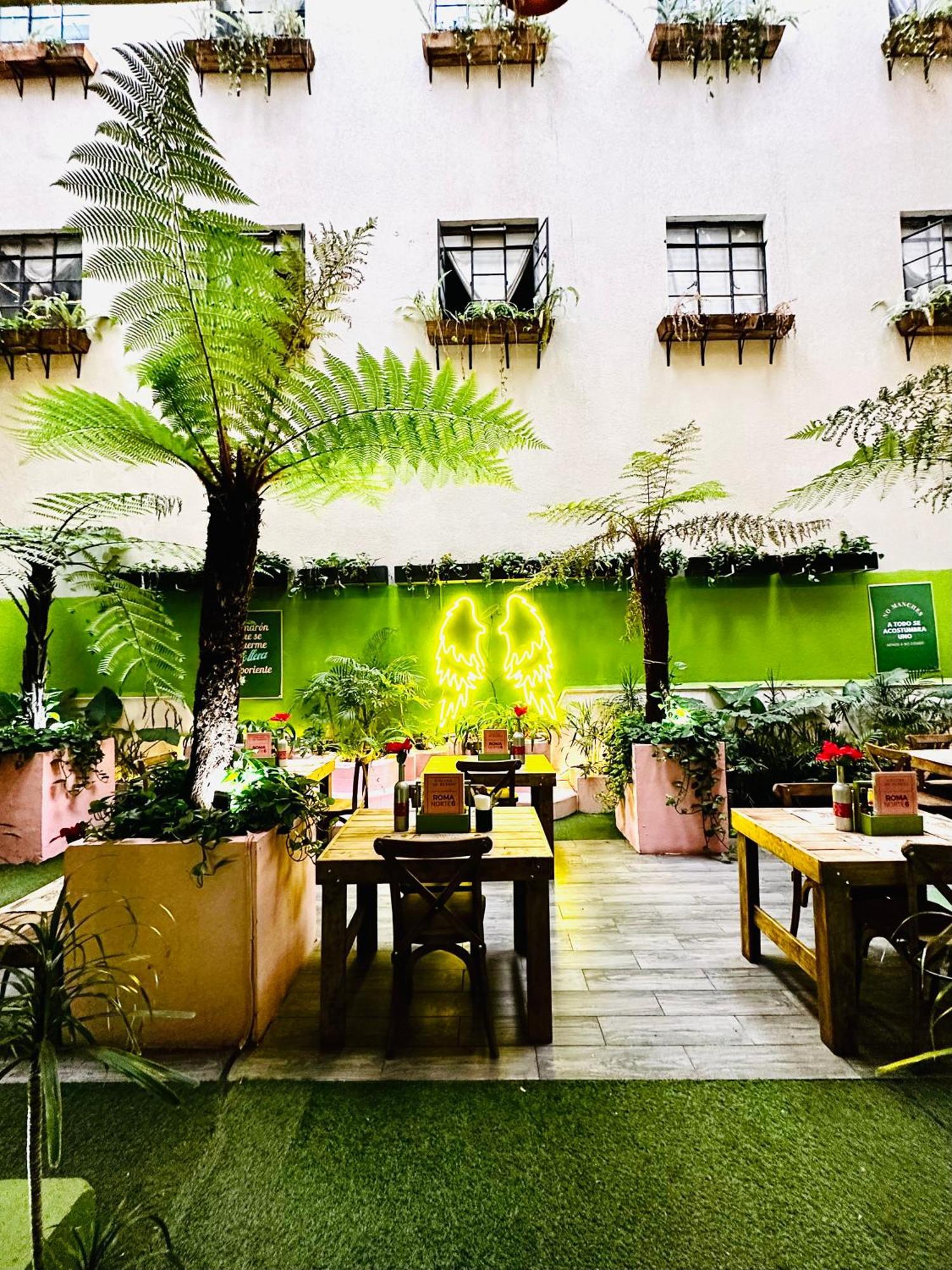 Frontera 49 Roma Norte Hostal Meksika Dış mekan fotoğraf