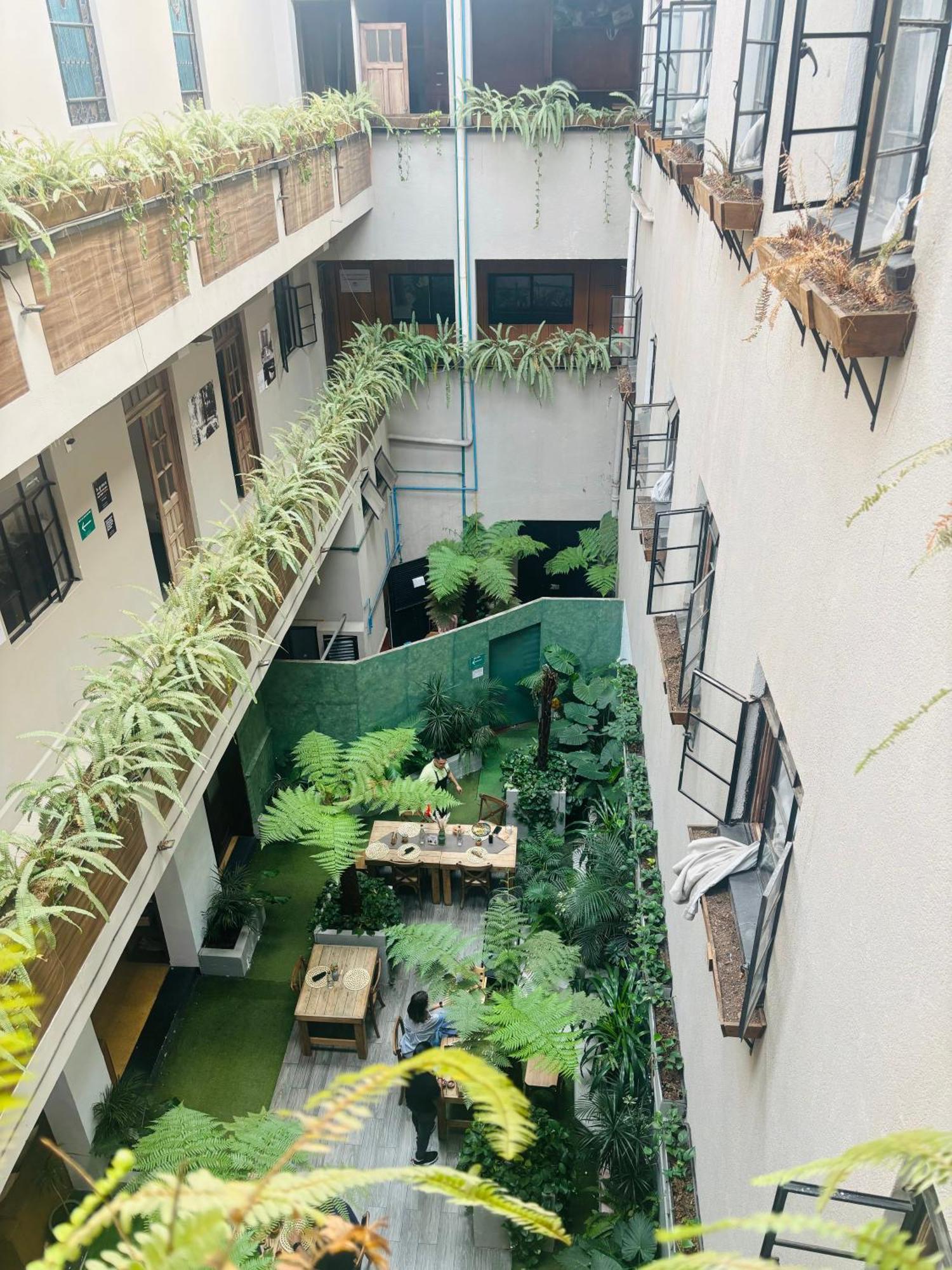 Frontera 49 Roma Norte Hostal Meksika Dış mekan fotoğraf